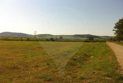 Teren agricol extravilan în Central