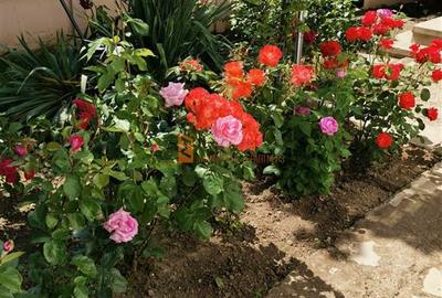 Casă cu 7 camere cu Canalizare în Merei - 6