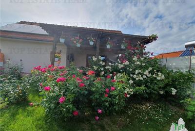Casă individuală cu 4 camere cu Teren 706 Mp în Tuzla - 5