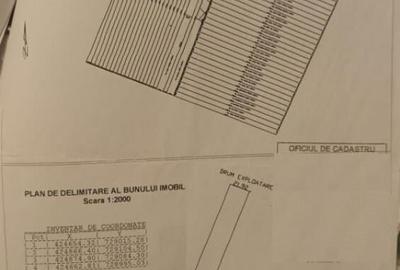 Teren de 5000 mp, în Centură - 2
