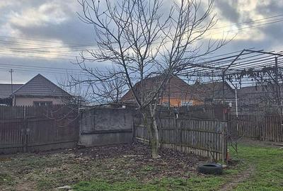 Casă cu 2 camere cu Teren 4000 Mp în Tăut - 7