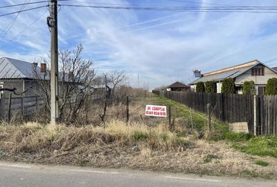 Teren de 3300 mp, în Pleșoiu - 2