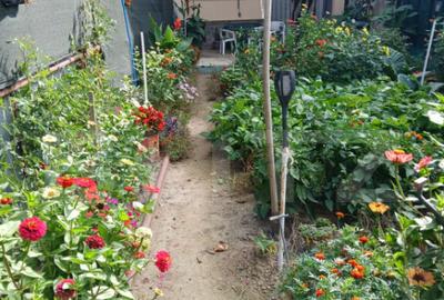 Casa 4 camere, 146 mp, zona 14 Mai - 3