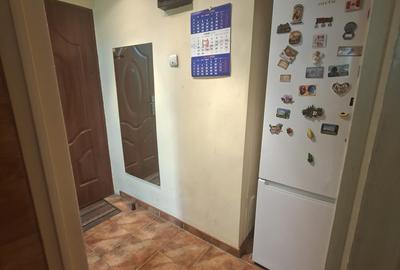 Apartament cu 2 camere semidecomandat în Tei - 11