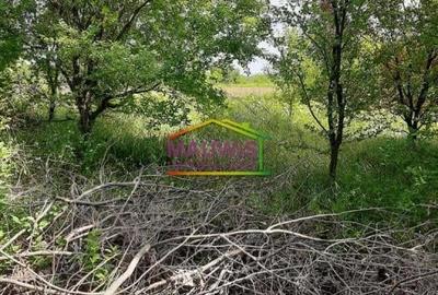 Snagov-Ghermanesti-Teren 2000 mp la sosea - 55 euro/mp - 4