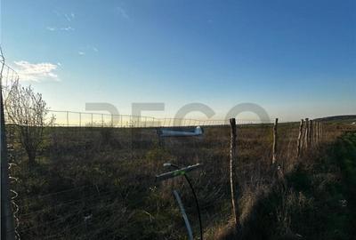 RECO Teren intravilan , Comuna Paleu , Bihor - 2