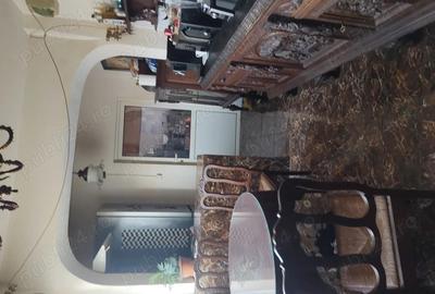 Casă cu 3 camere cu Teren 5700 Mp în Viile Satu Mare - 3