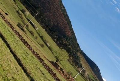 Teren de 6700 mp, în Sântămăria-Orlea - 4