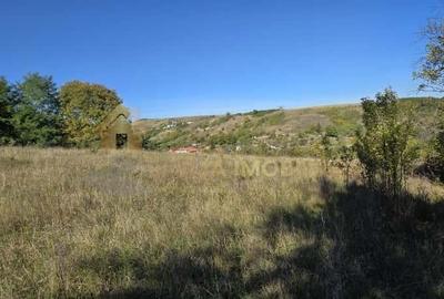 TEREN INTRAVILAN 11000 MP - 7