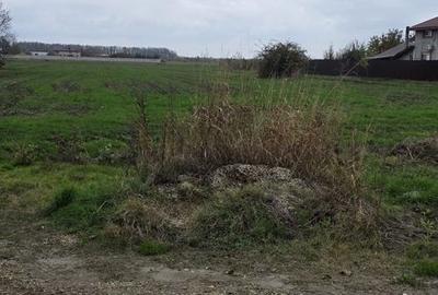 Teren de 2500 mp, în 1 Decembrie - 2