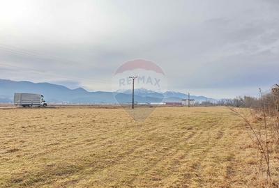 Teren agricol extravilan de 11600 mp, în Cristian - 9