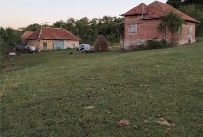 Casă cu 6 camere cu Teren 1200 Mp în Damiș - 5