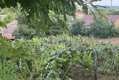 Casa si teren cota parte 1/4 , Negresti, ID: R2765740 - 6