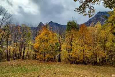 Apartament superb cu vedere la mun?i! - 8