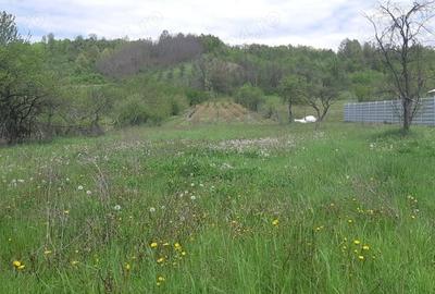 Teren de 3500 mp, în Ștefănești - 6