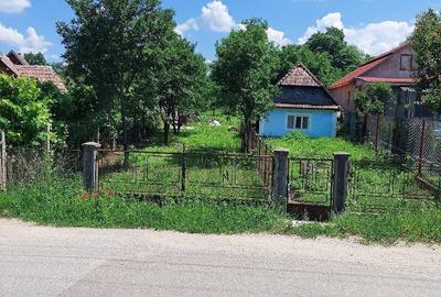 Casă cu Teren 1400 Mp în Moldovenești - 1