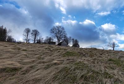 19,5 Ha  TEREN PEISAJ PANORAMIC SPECTACULOS zona turistica montana BULZ -  BIHOR - 51
