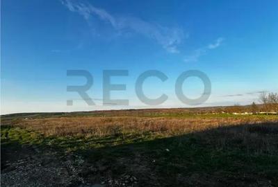 Teren de 1025 mp, în Paleu - 1