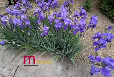 Terenn 2800 mp+ Casa  , oaza de liniste si relaxare - 17