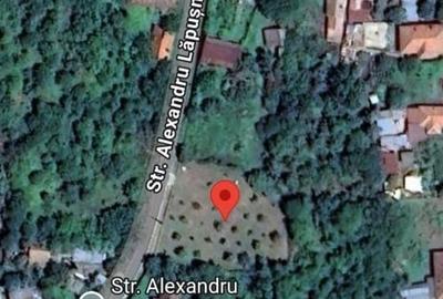 Spațiu comercial, în Batoți - 4