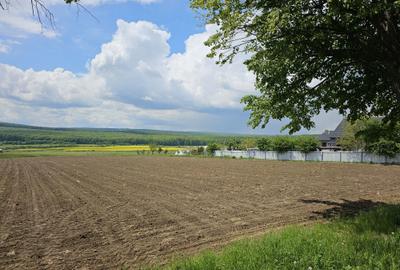 Spațiu comercial, în Mitocu Dragomirnei - 5