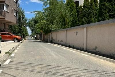 Teren Construcții intravilan de 6000 mp, în Exterior Est - 4