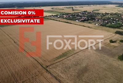 COMISION 0% Teren de vanzare intravilan de 24.700 mp - Padureni - 10