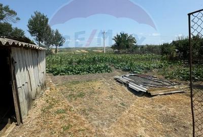 Casa 74 mp/ Predesti 1331 mp teren intravilan - 9