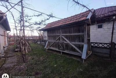 Casă cu 4 camere cu Teren 2600 Mp în Bozânta Mică - 3