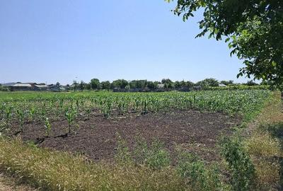 Teren de 1500 mp, în Padina - 2