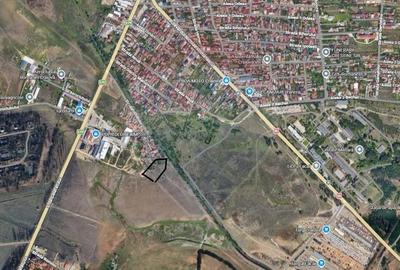 Teren Construcții intravilan de 3785 mp, în Braniște (Podari) - 2