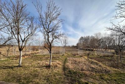 Casa de vanzare, cu 2 camere, 65 mp, Oradea - 2