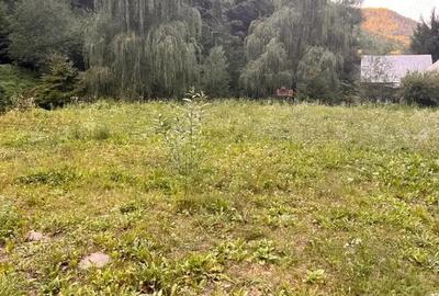 Teren valea Bratcutei - 5