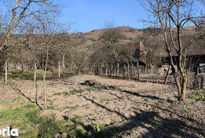 Casă cu 4 camere cu Teren 1300 Mp în Măgherani - 14