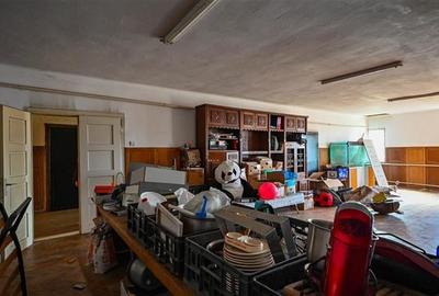 FILM! Complex agrozootehnic cu traditie, echipat,pretios potential multiplu, Bra - 46