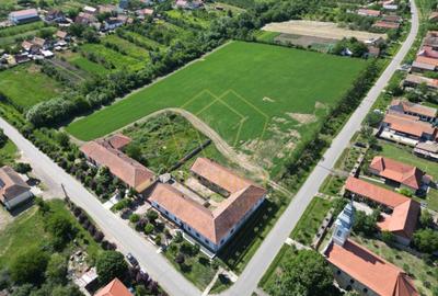 Teren Construcții intravilan de 16716 mp, în Petrovaselo - 7