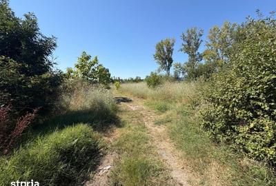 Teren de 6325 mp, în Cârcea