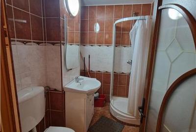 Apartament 2 camere decomandat de închiriat - 7