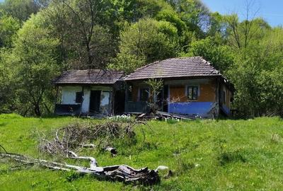 Teren de 7795 mp, în Golești - 2