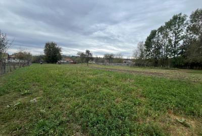 Spațiu comercial, în Almaș - 8