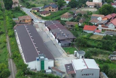 Spa?iu industrial de vanzare in Sangeorgiu de Padure... - 1