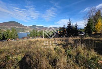 Teren de vanzare 12 ari - COLIBITA - 2