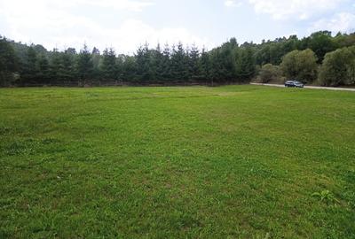 De vânzare teren extravilan - 1