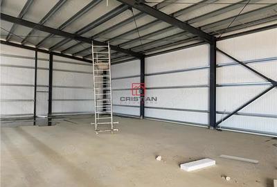 Inchiriere depozit hala spatiu industrial Theodor Pallady - Drumul Intre Tarlale - Oxigenului - 6