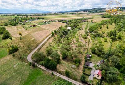 Teren de 4500 mp, în Sâncraiu - 3