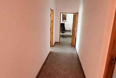 Spatiu industrial productie/ depozitare, Timiș - 31