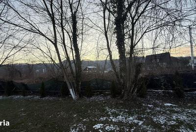 Teren de 10834 mp, în Dumbrăvești - 3
