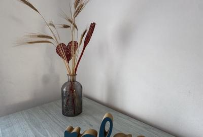 Apartament cu 2 camere decomandat, mobilat în Zorilor - 9