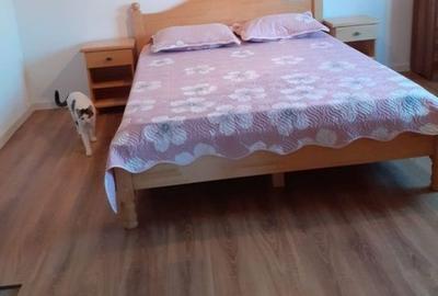 Casă cu 4 camere în Alimpești - 4