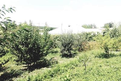 Casă cu 4 camere cu Teren 5000 Mp în Valea Mărului - 11